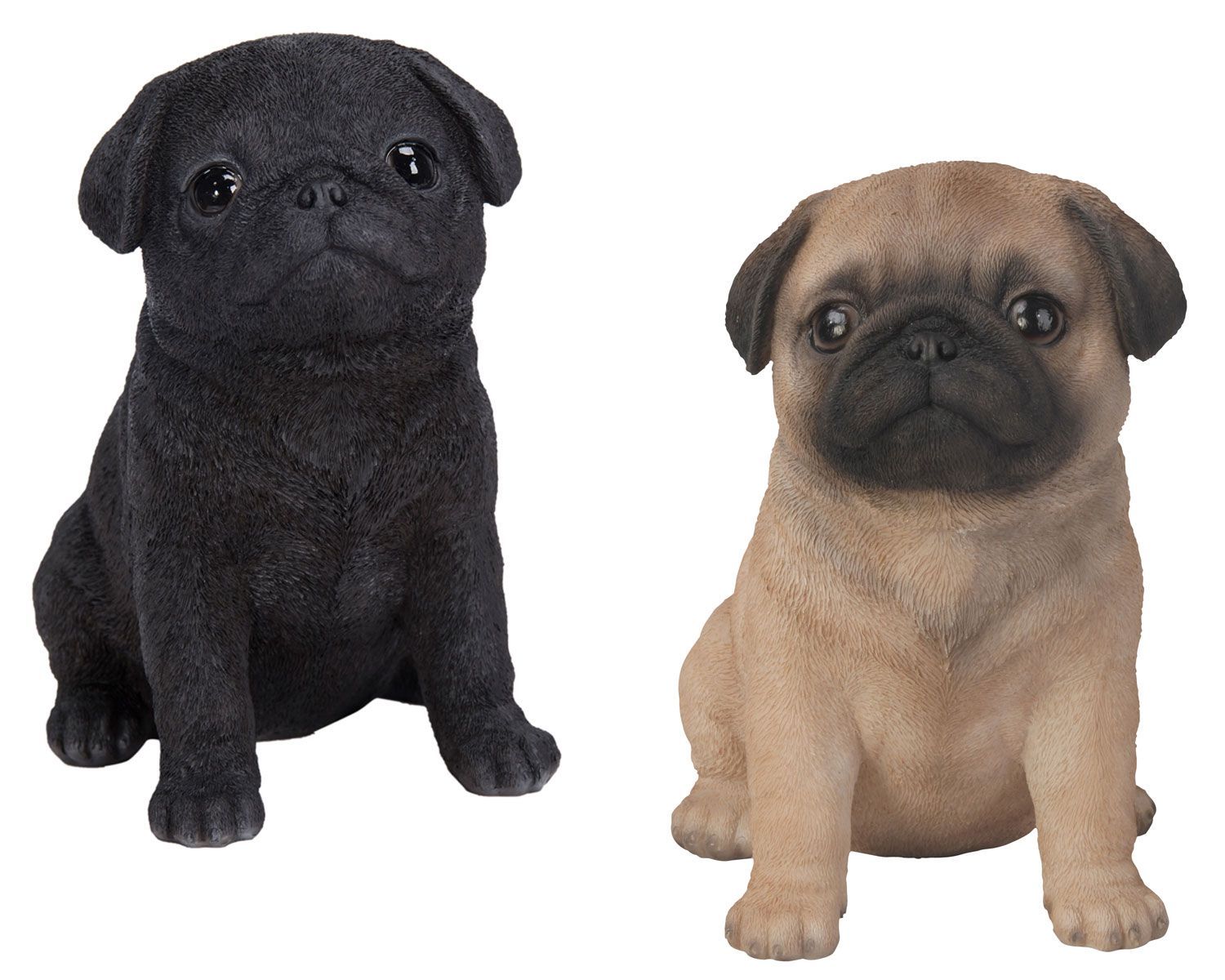 Black and best sale fawn pug puppies