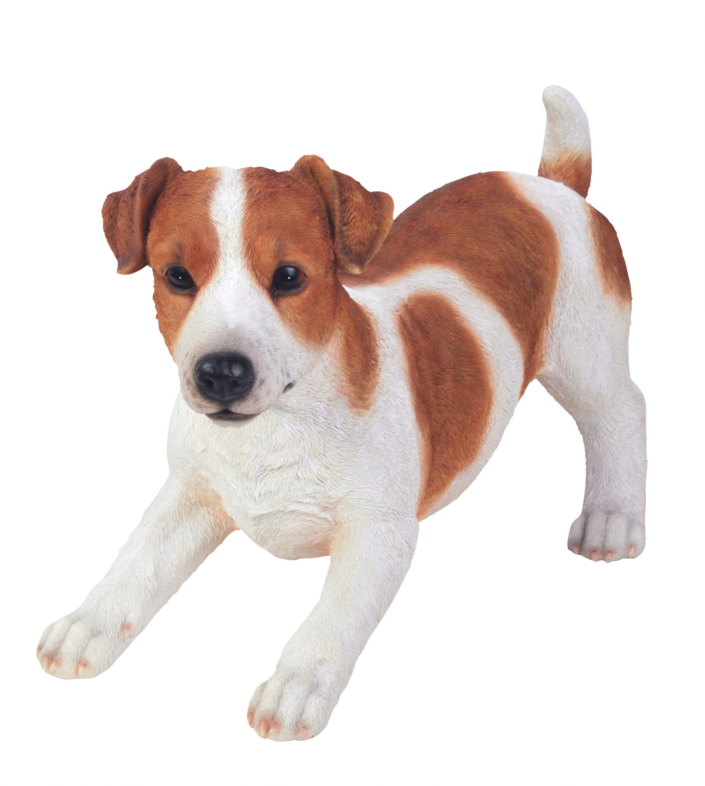 Jack Russell Dog - Brown Lifelike Garden Ornament - Indoor Outdoor Real ...